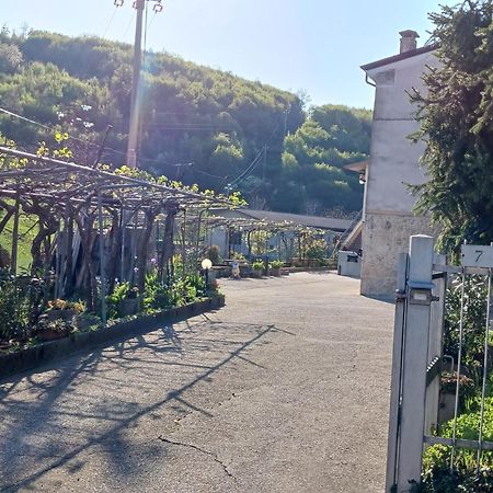 La Torretta - Incantevole Appartamento Nei Colli Berici Nanto Exterior foto
