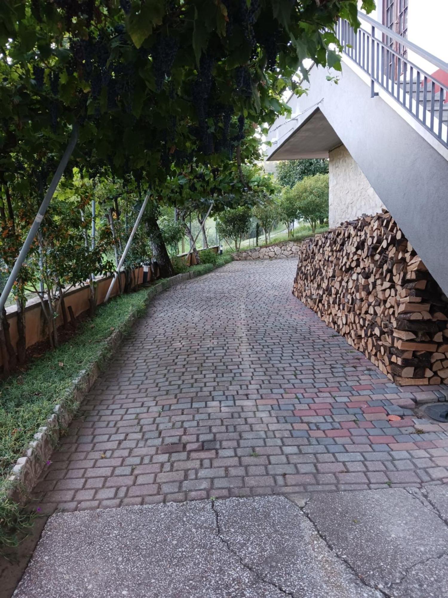 La Torretta - Incantevole Appartamento Nei Colli Berici Nanto Exterior foto