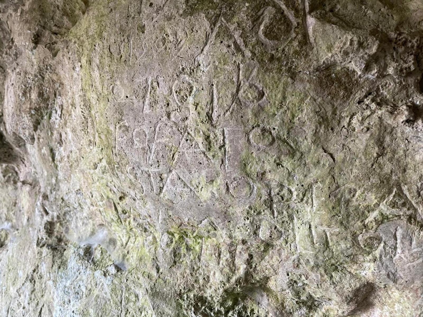 La Torretta - Incantevole Appartamento Nei Colli Berici Nanto Exterior foto