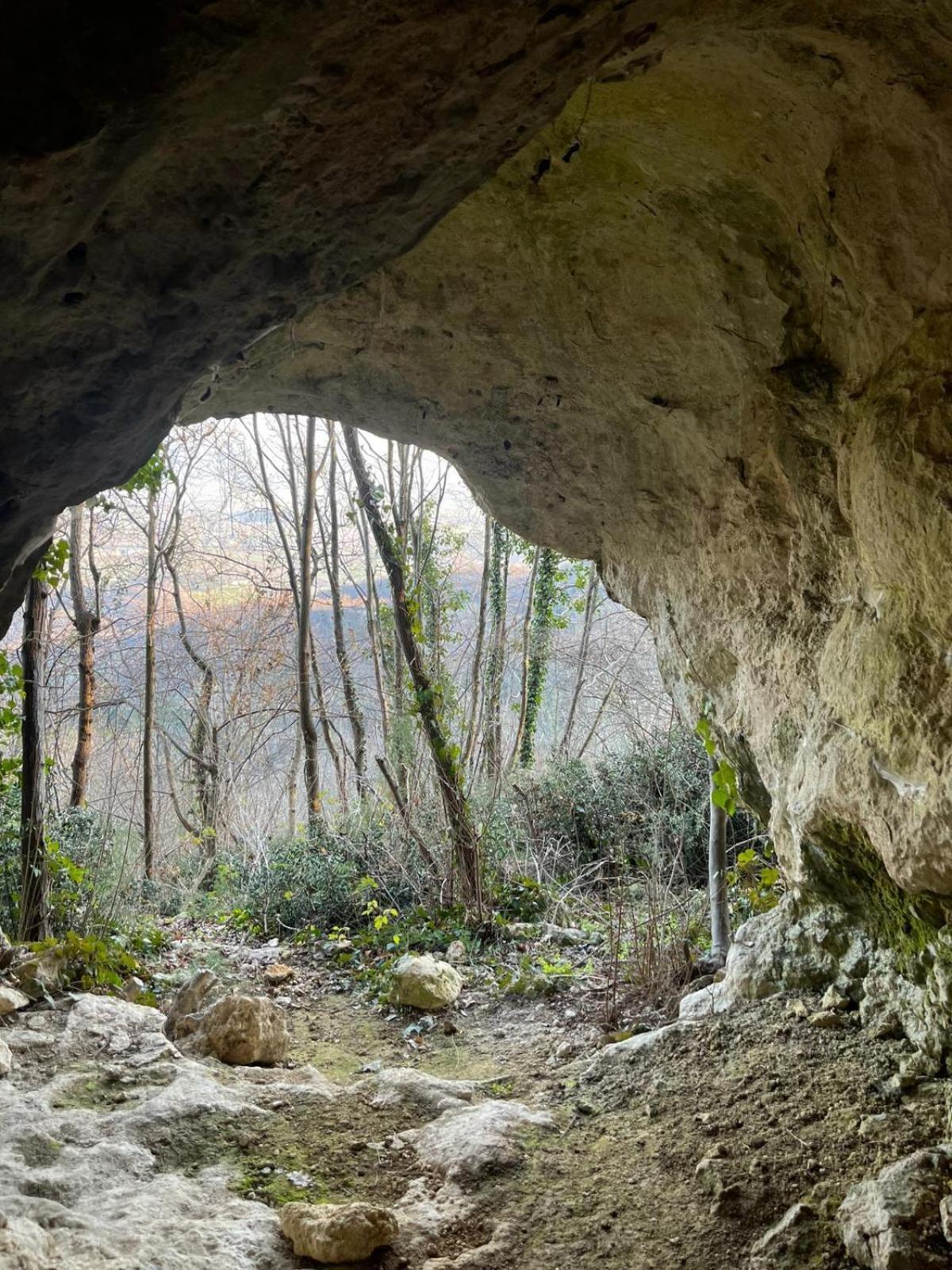 La Torretta - Incantevole Appartamento Nei Colli Berici Nanto Exterior foto
