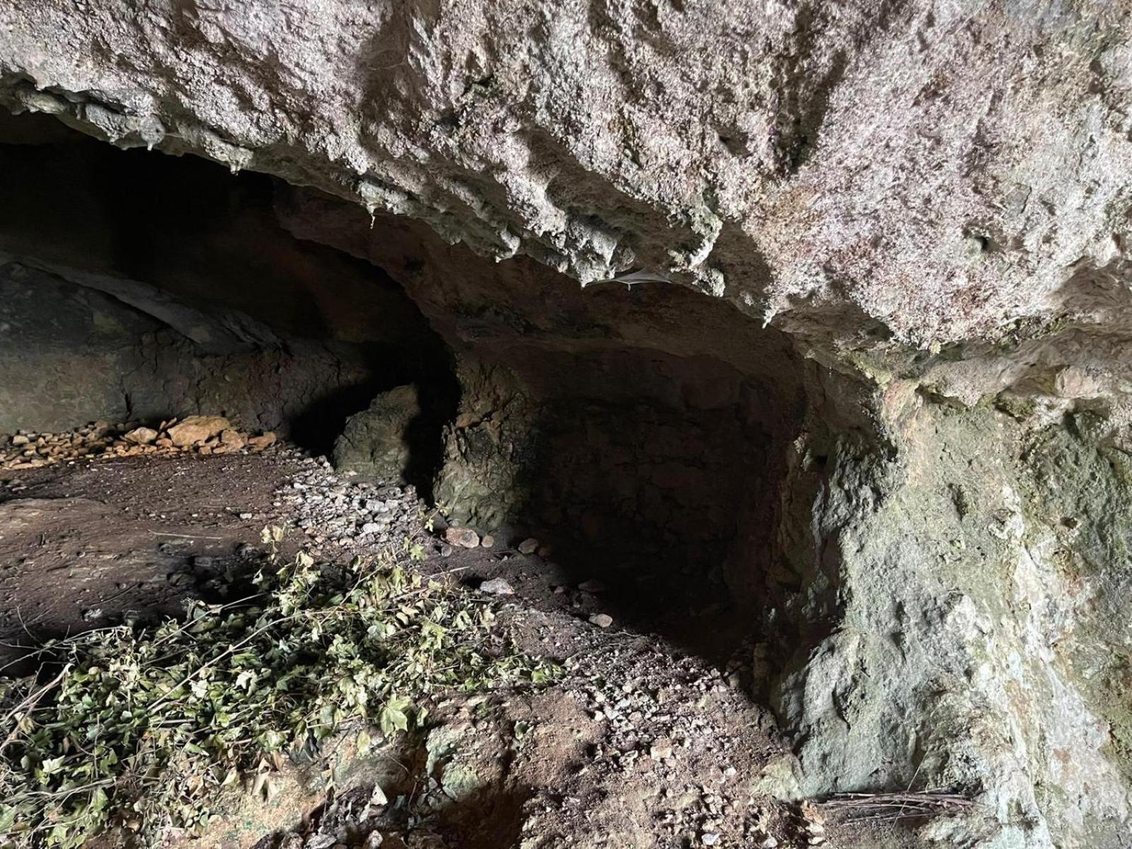 La Torretta - Incantevole Appartamento Nei Colli Berici Nanto Exterior foto